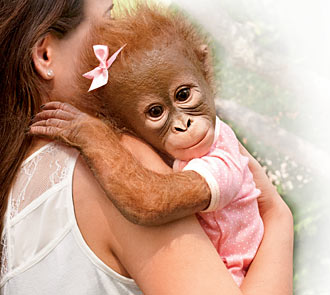 Annabelle's Hugs Monkey Doll
