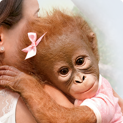 “Annabelle's Hugs” Lifelike Baby Monkey Doll By Ina Volprich